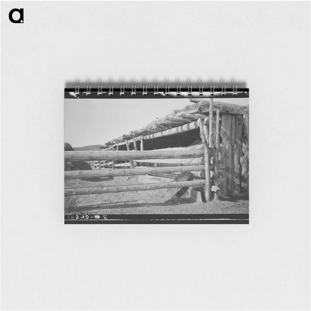 Untitled photo - ドロテア ラング Memo.