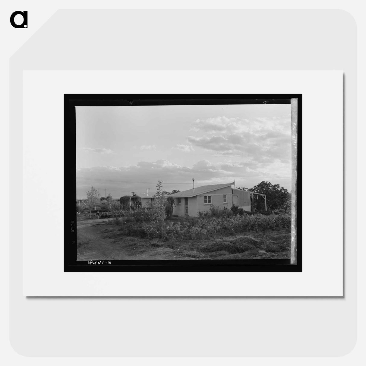 Untitled photo - Dorothea Lange Poster.