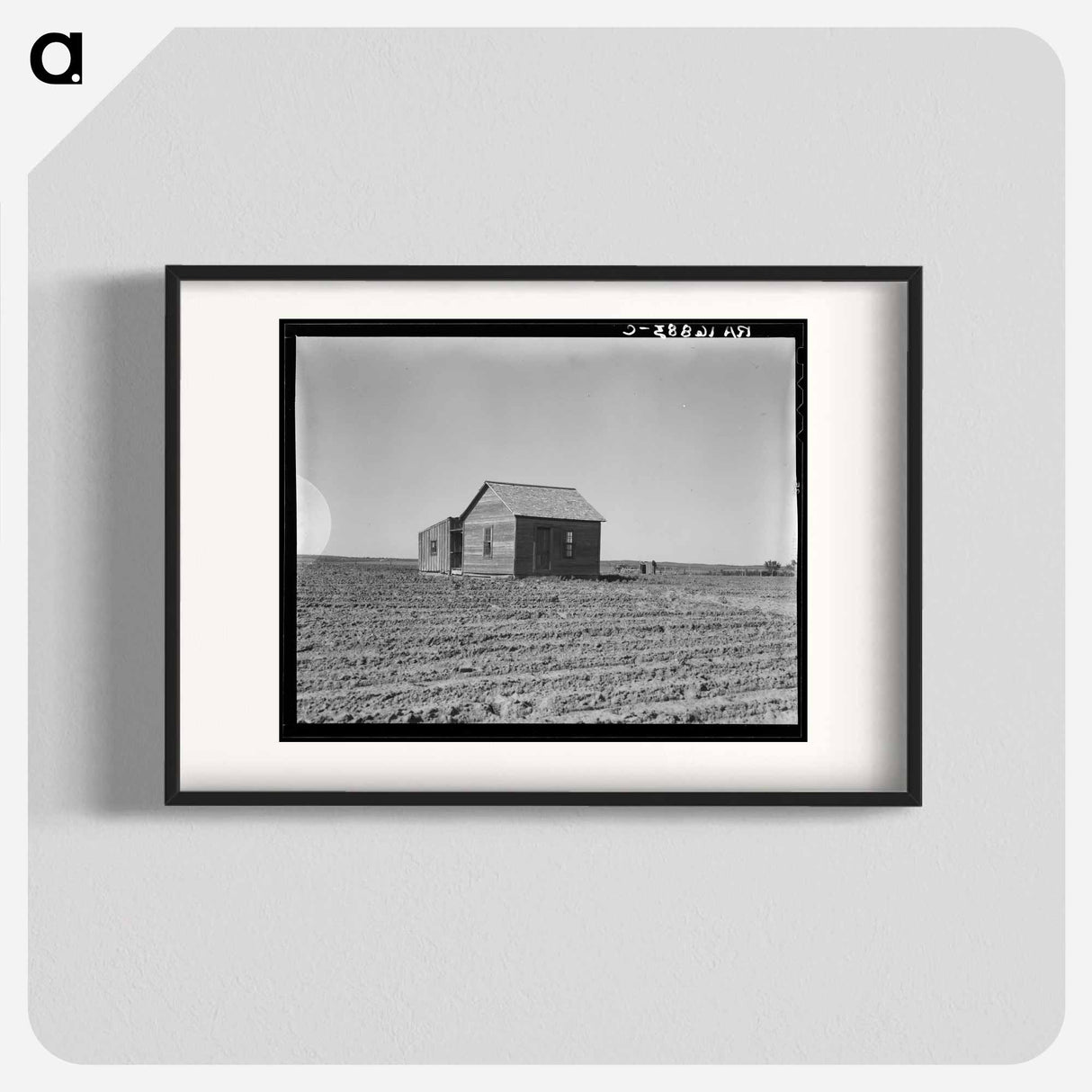 Cultivated fields and abandoned tenant house - Dorothea Lange Poster.