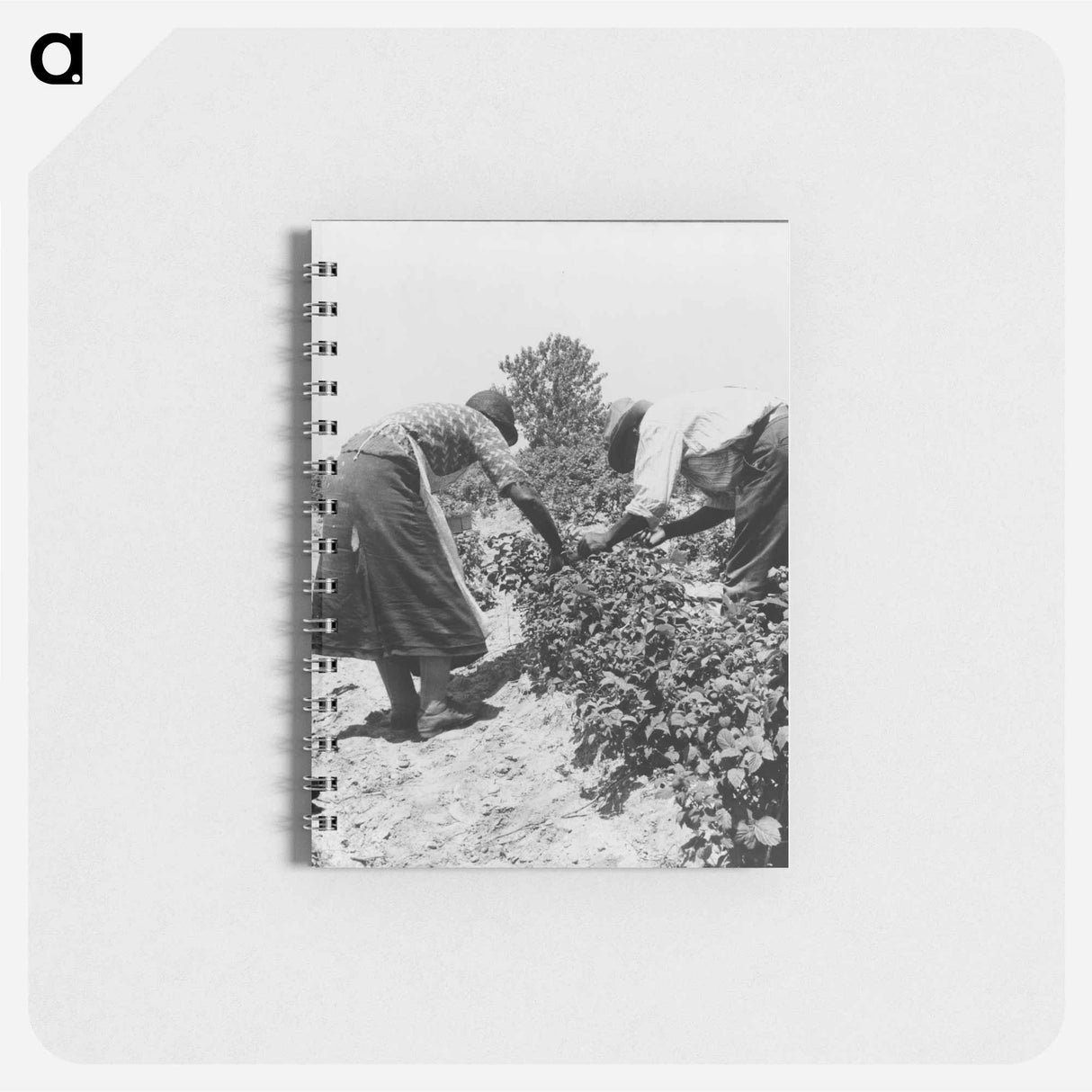 アートメモ帳-Berry pickers - ドロテア ラング Memo.