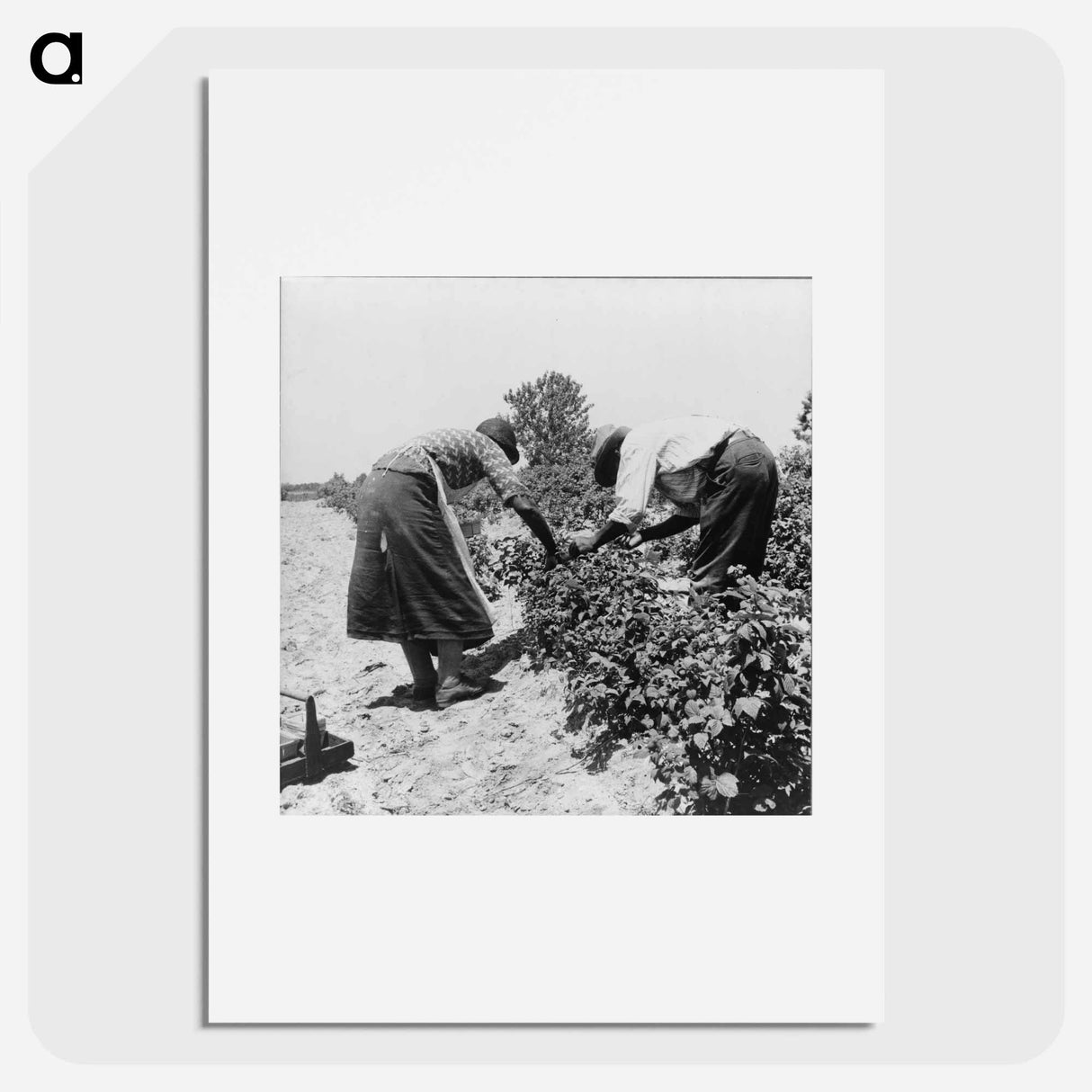 Berry pickers - Dorothea Lange Poster.