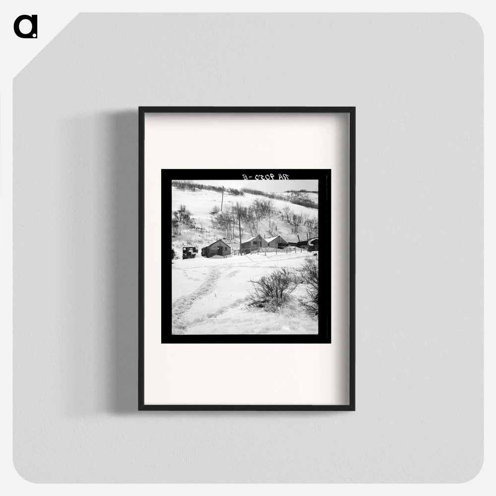 Consumers, near prices, Utah. Housing in Utah coal town. - Dorothea Lange Poster.