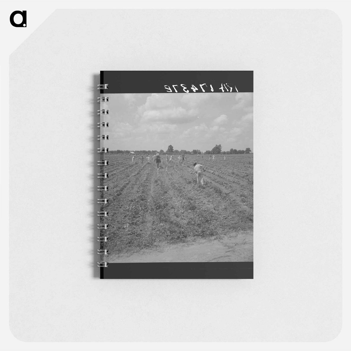 アートメモ帳-Aldridge Plantation - ドロテア ラング Memo.
