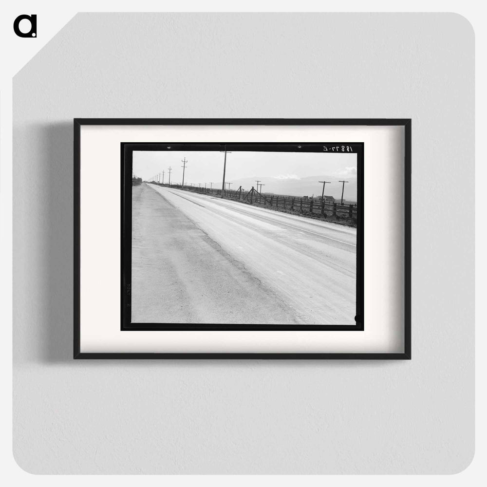 Untitled photo - Dorothea Lange Poster.