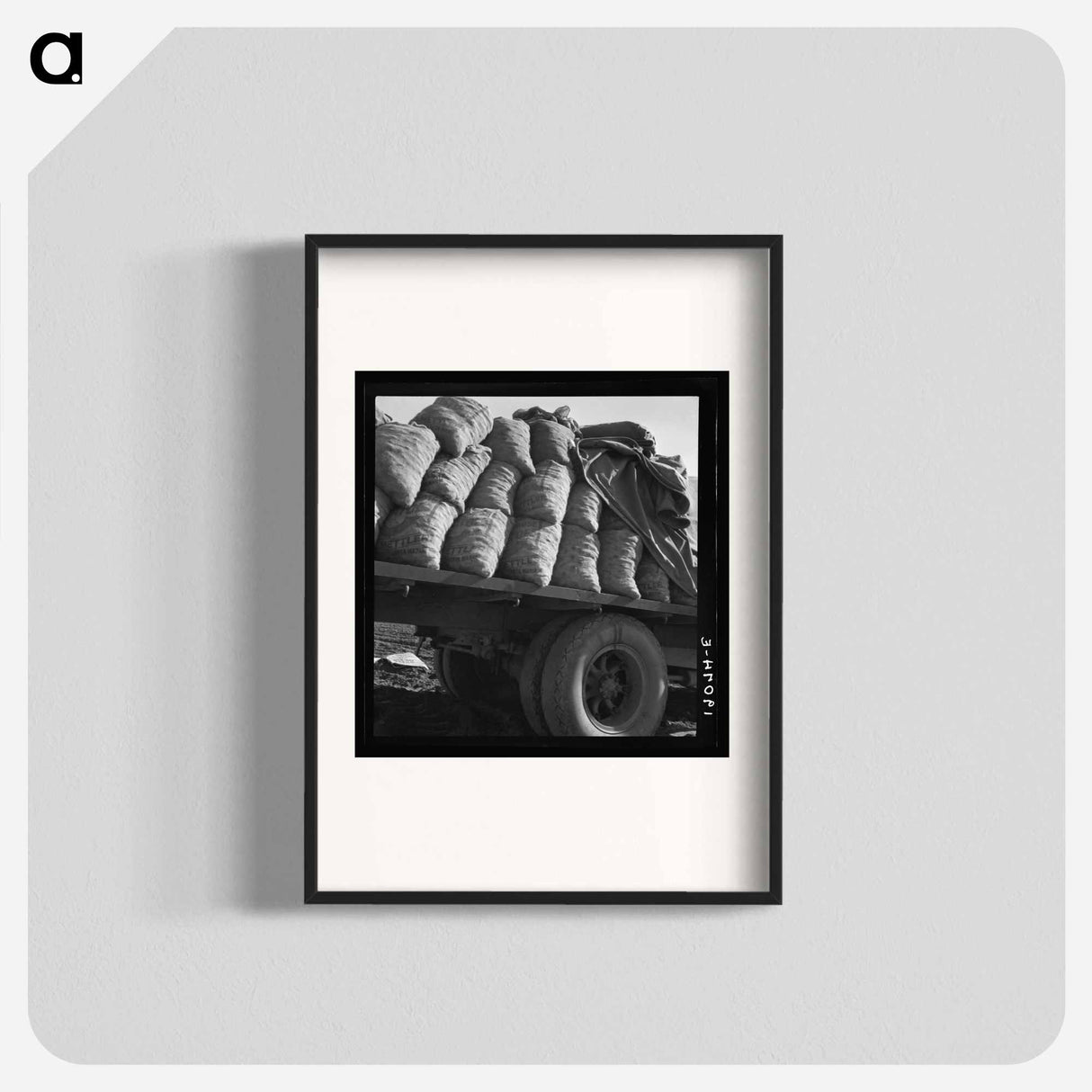 Kern County, California. Truck loaded with potato seed. - Dorothea Lange Poster.