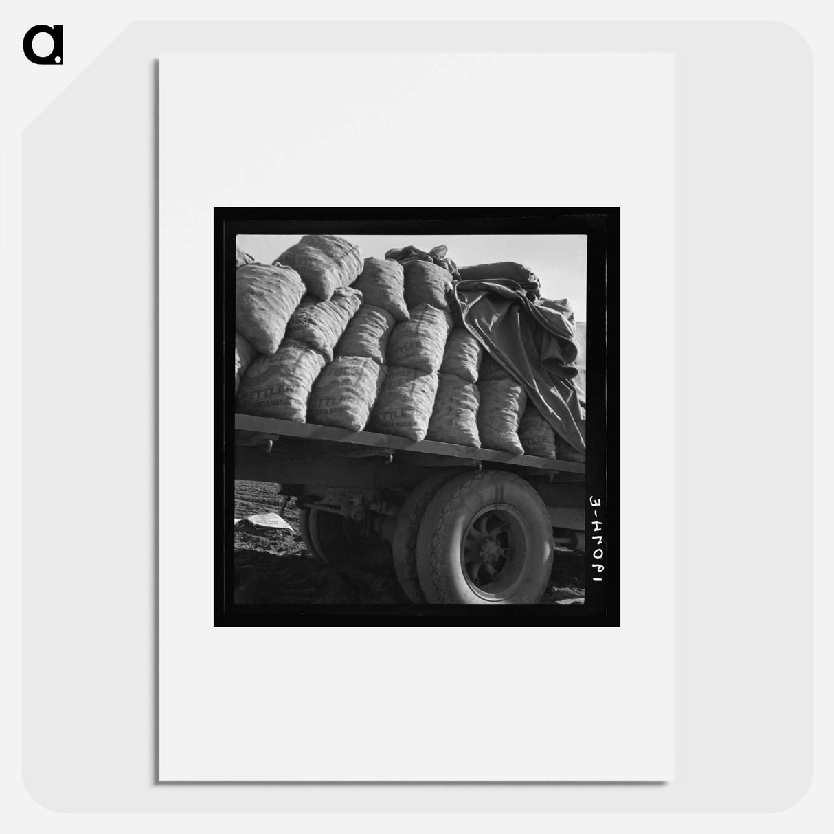 Kern County, California. Truck loaded with potato seed. - Dorothea Lange Poster.