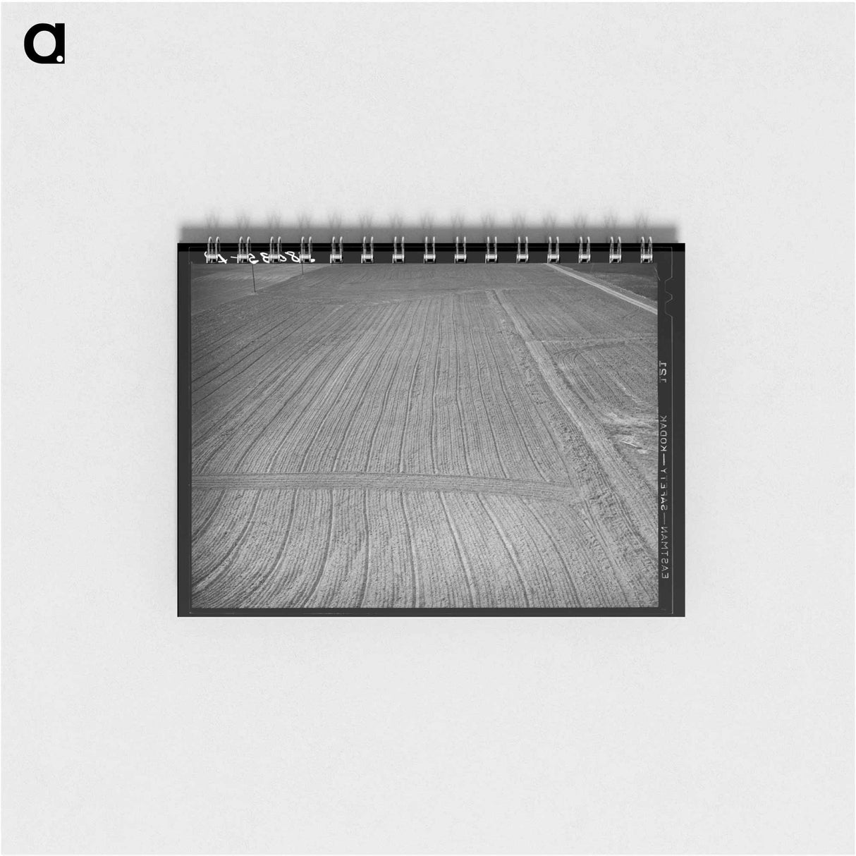 アートメモ帳-Harrowed Field, Mineral King
- ラッセル リー Memo.
