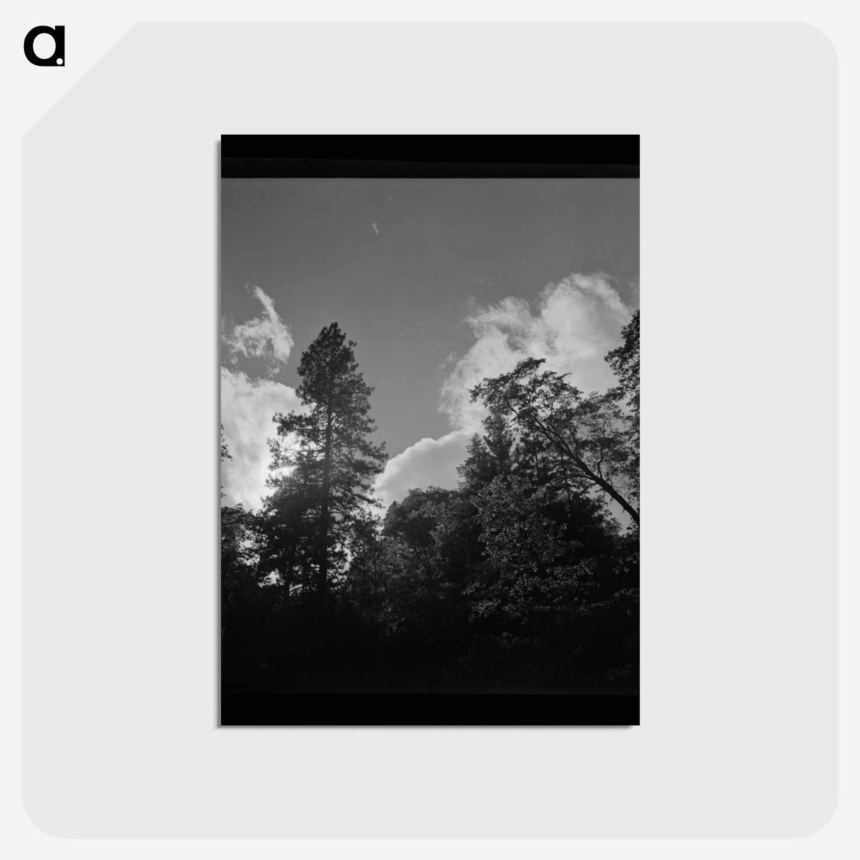 アートポストカード-Shasta County Trees and Clouds
- ラッセル リー Postcard.