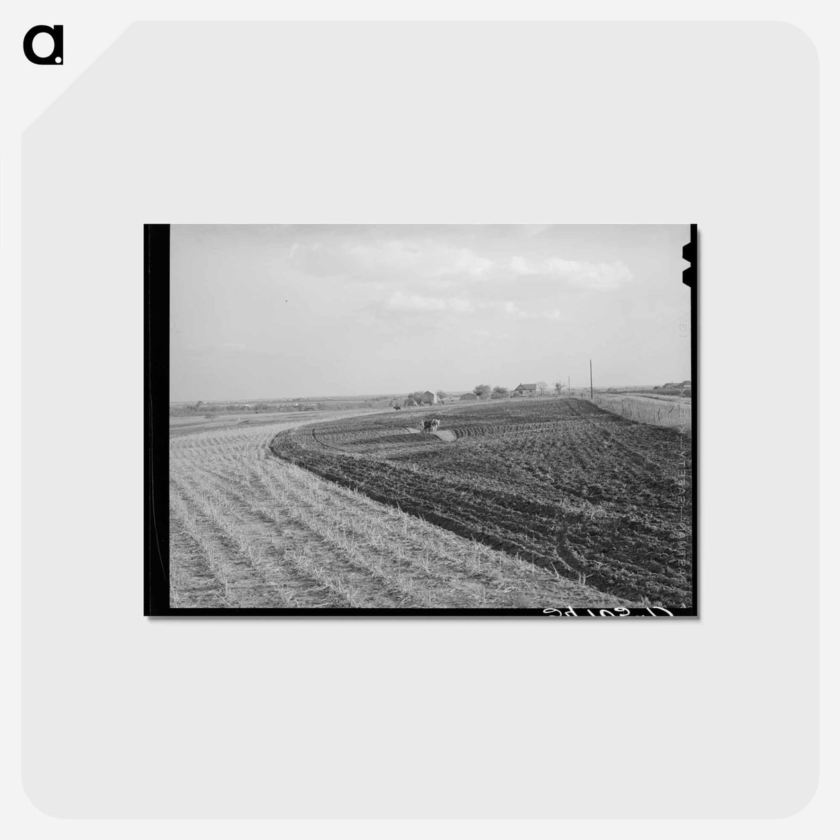 アートポストカード-Cornfield, McLennan County
- ラッセル リー Postcard.