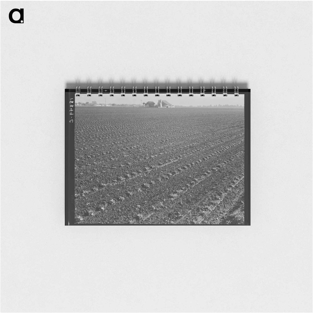 Untitled photo - ドロテア ラング Memo.