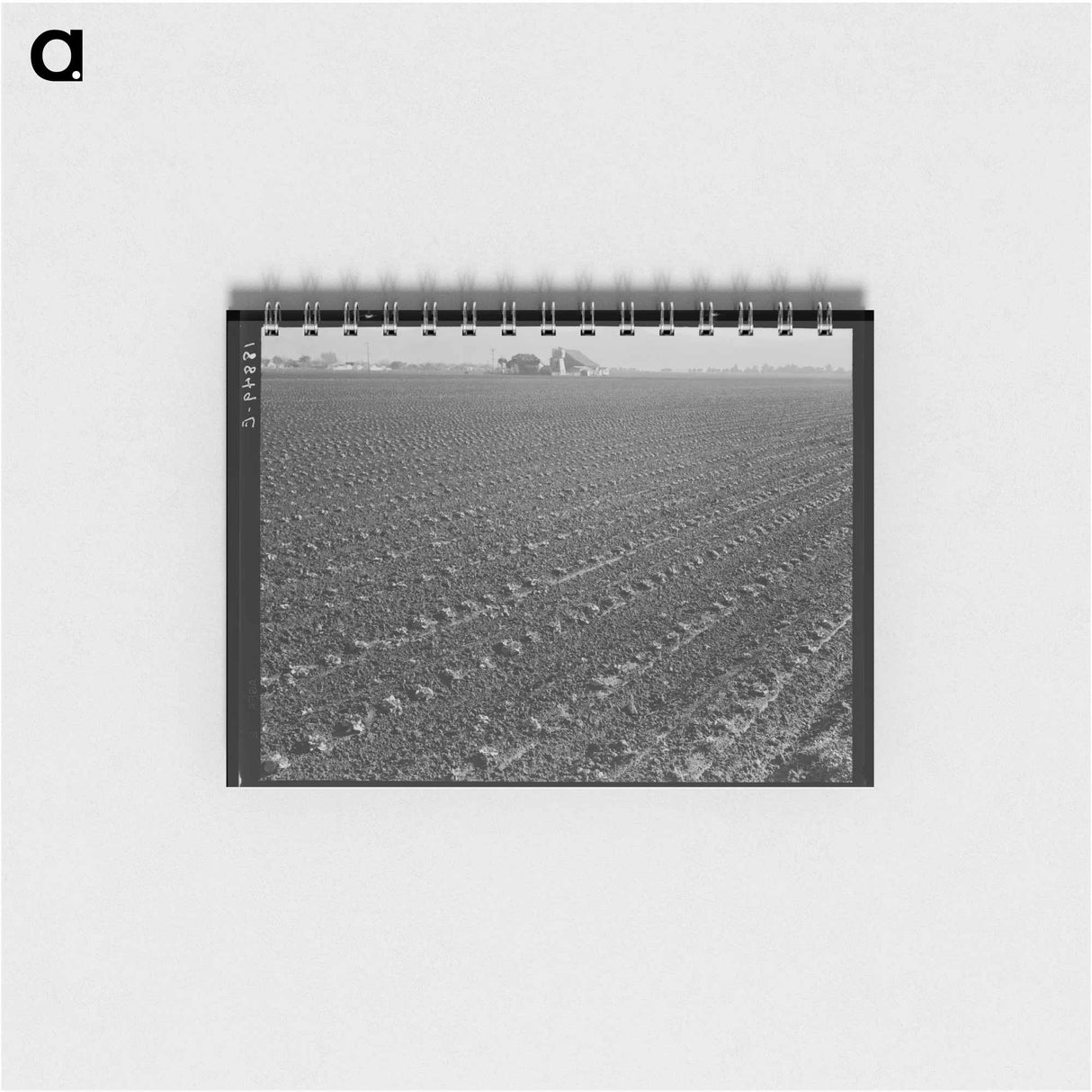 Untitled photo - ドロテア ラング Memo.