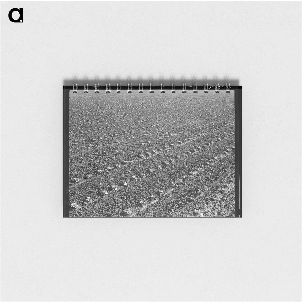 Untitled photo - ドロテア ラング Memo.