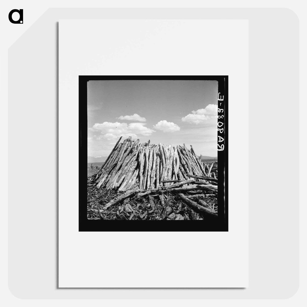 Central Utah dry land adjustment project - Dorothea Lange Poster.