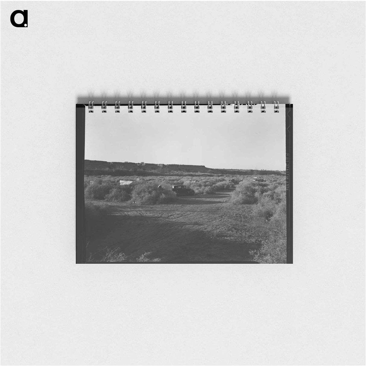 アートメモ帳-California migratory farm laborers, drought refugees from Oklahoma, camped in the brush on the river bottom with no water or sanitation. On the outskirts of Brawley. Imperial Valley, California. - ドロテア ラング Memo.