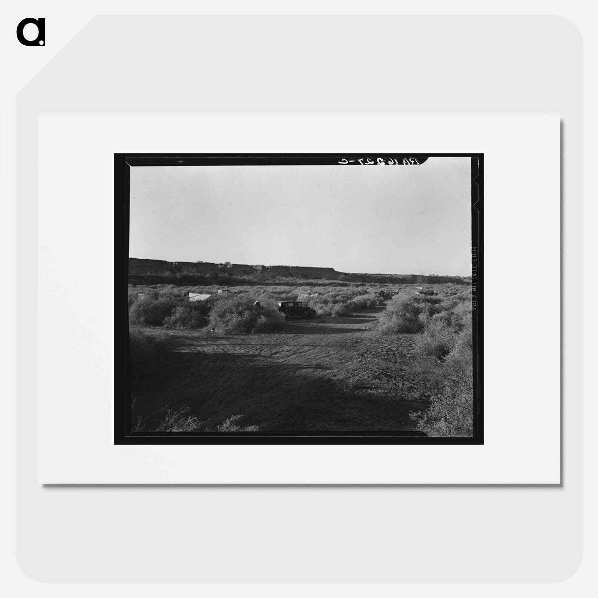 アートポスター-California migratory farm laborers, drought refugees from Oklahoma, camped in the brush on the river bottom with no water or sanitation. On the outskirts of Brawley. Imperial Valley, California. - ドロテア ラング Poster.