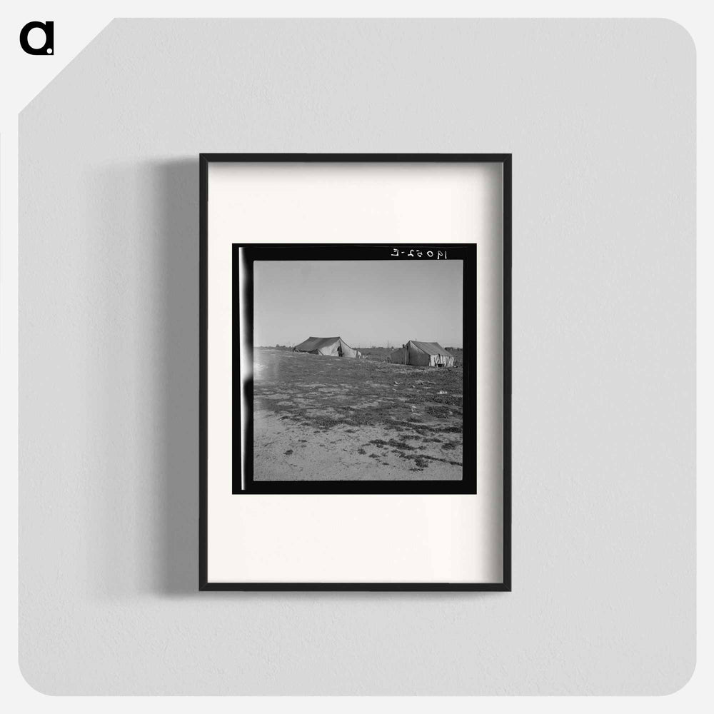 Untitled photo - Dorothea Lange Poster.