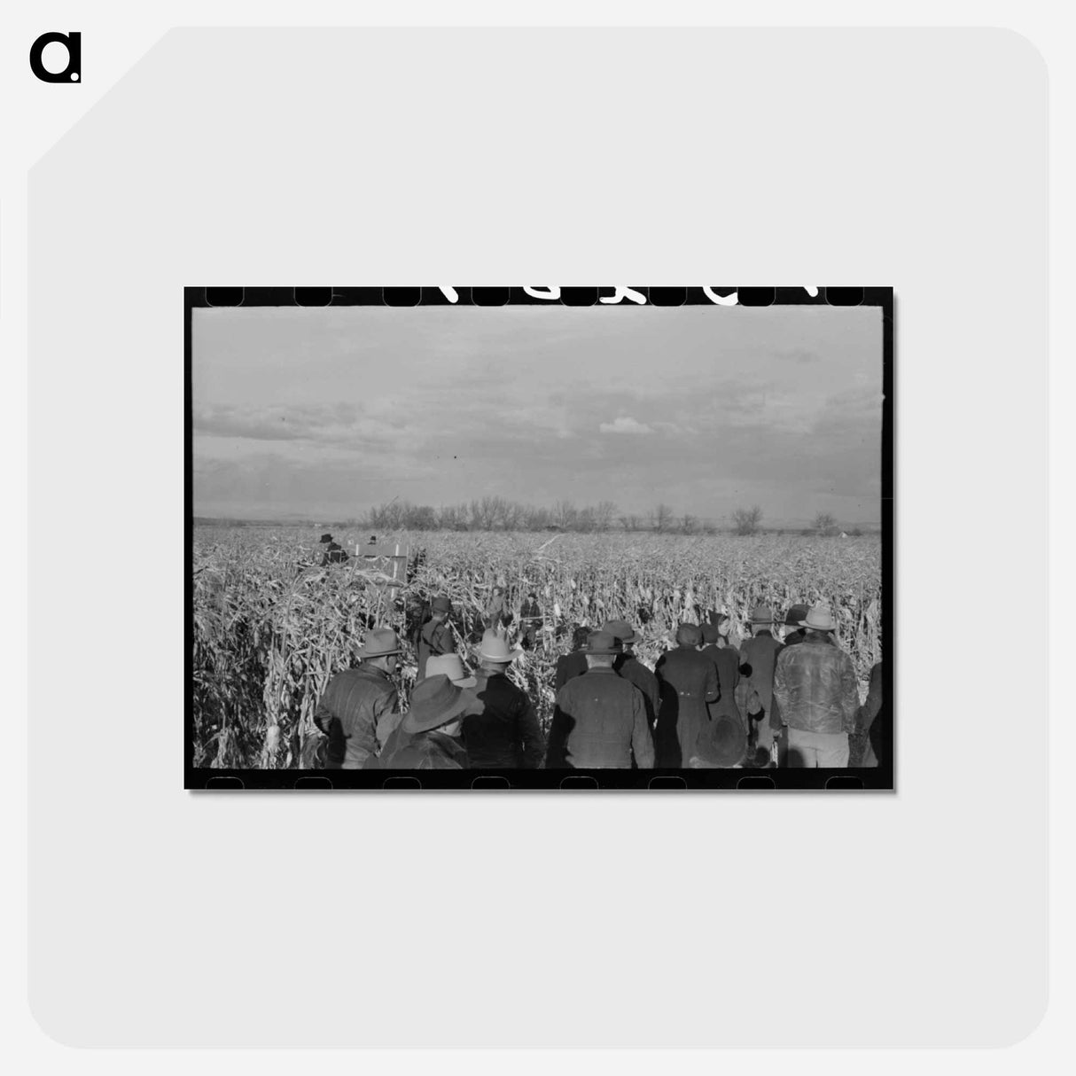 アートポストカード-Cornhusking Contest, Ontario, Oregon
- ラッセル リー Postcard.
