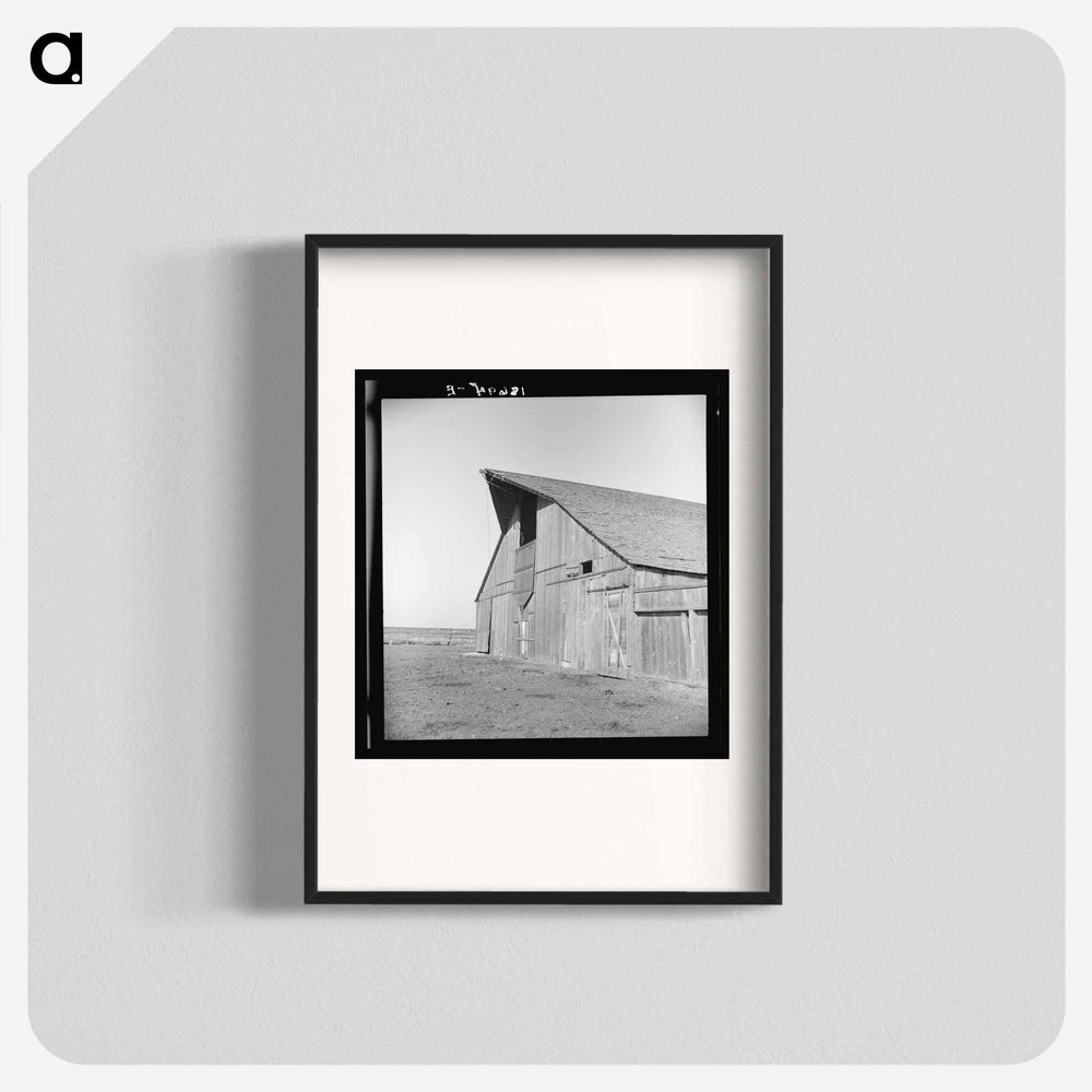 Untitled photo - Dorothea Lange Poster.