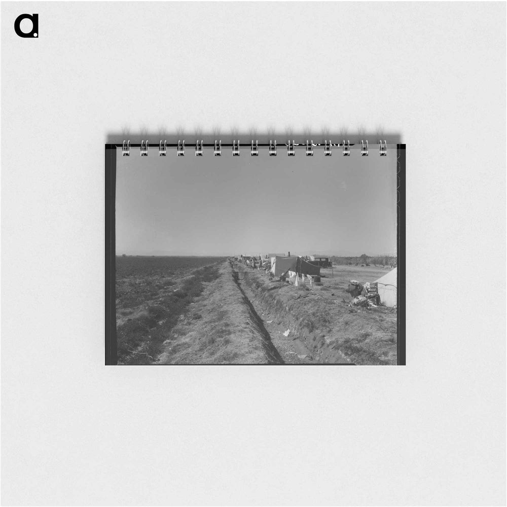 Squatter camp on county road near Calipatria - ドロテア ラング Memo.