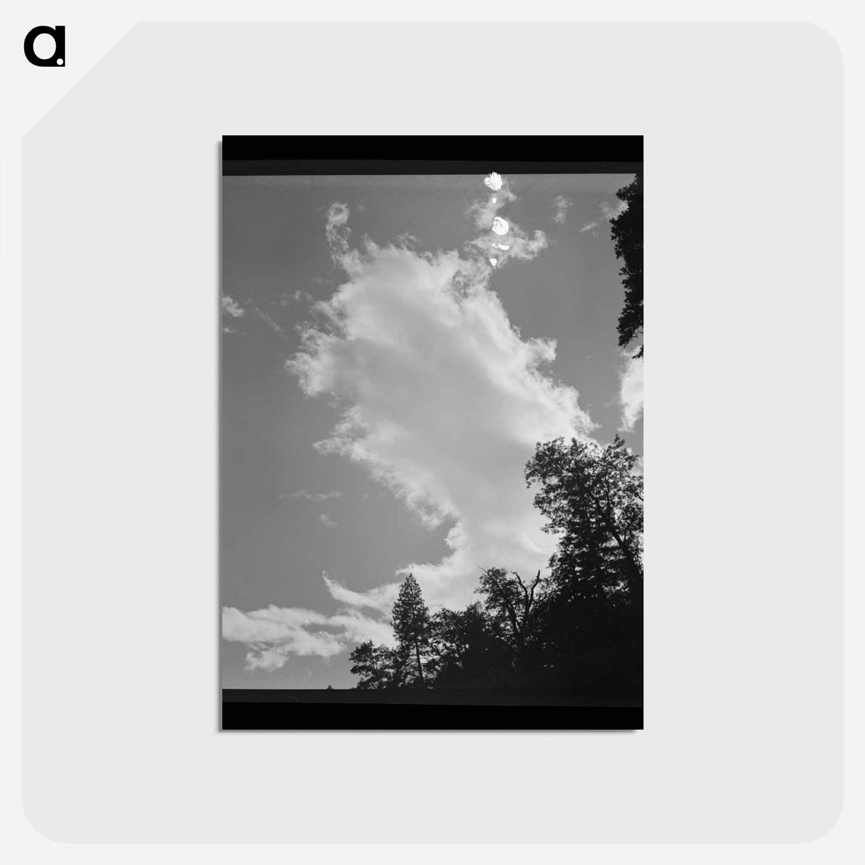 アートポストカード-Shasta County Trees and Clouds
- ラッセル リー Postcard.