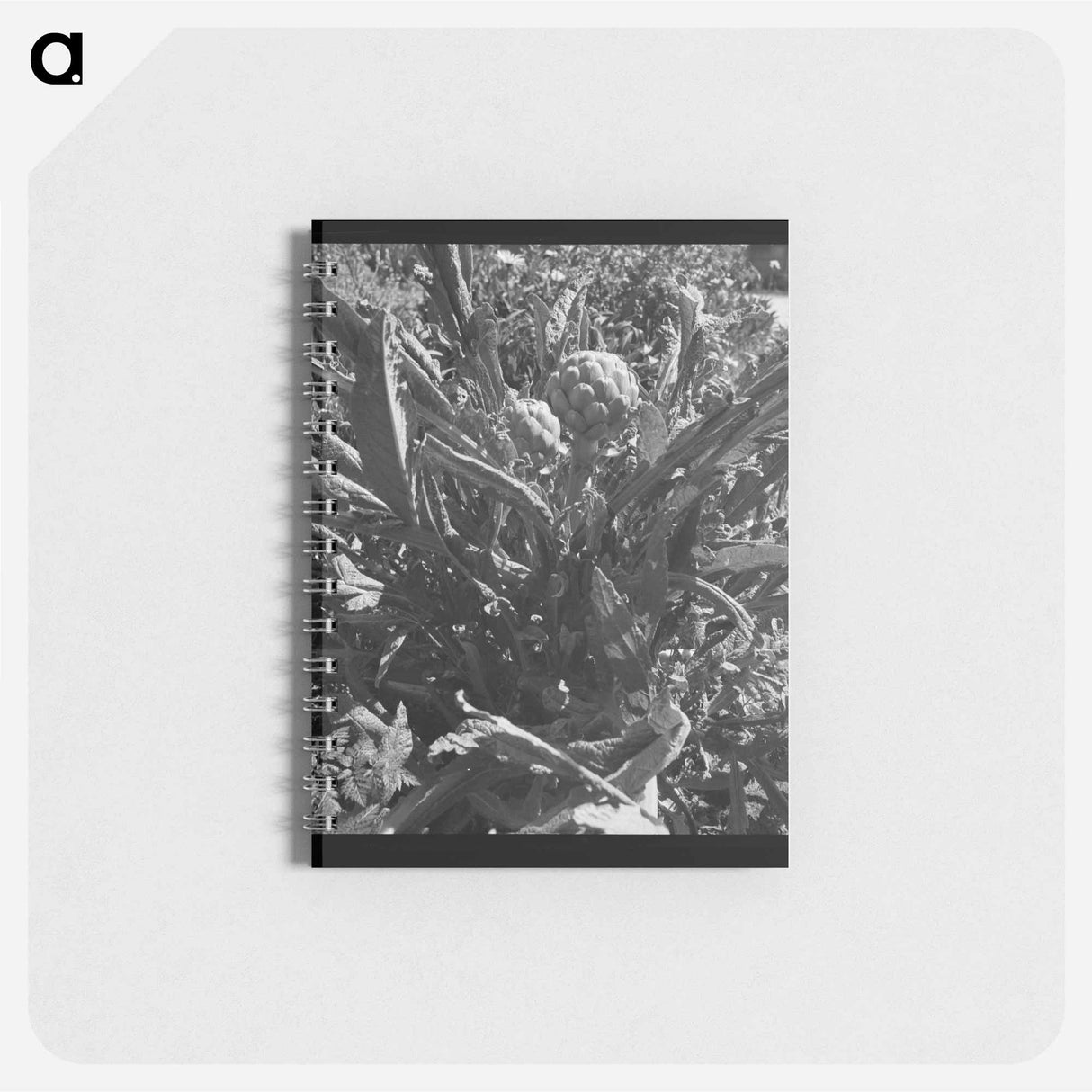 アートメモ帳-Artichoke - ドロテア ラング Memo.
