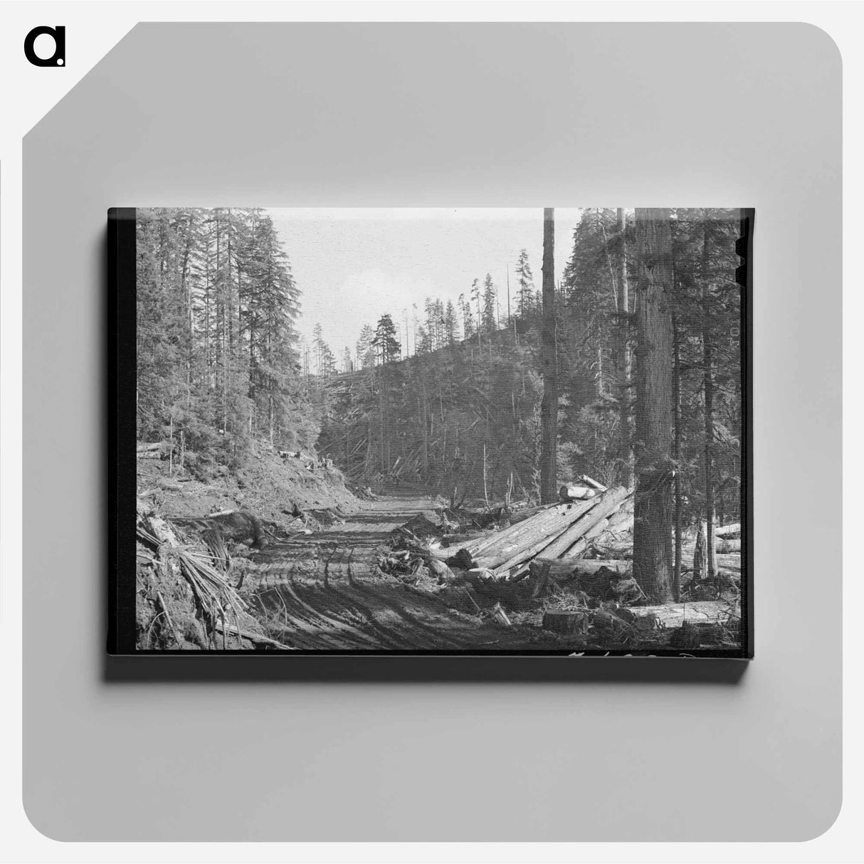 アートパネル-Logging Road Through the Woods
- ラッセル リー Canvas.