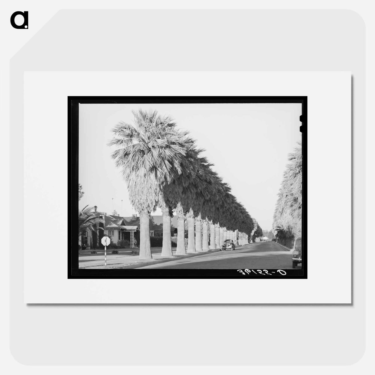 アートポスター-Avenue of Palms
- ラッセル リー Poster.