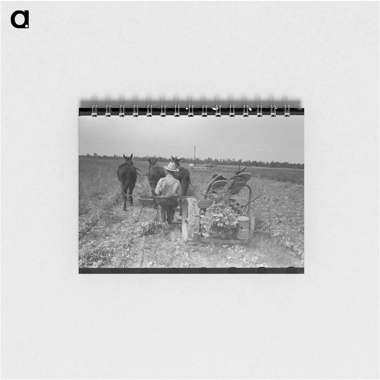 アートメモ帳-Raking Soybean Hay, Lake Dick Project, Arkansas
- ラッセル リー Memo.