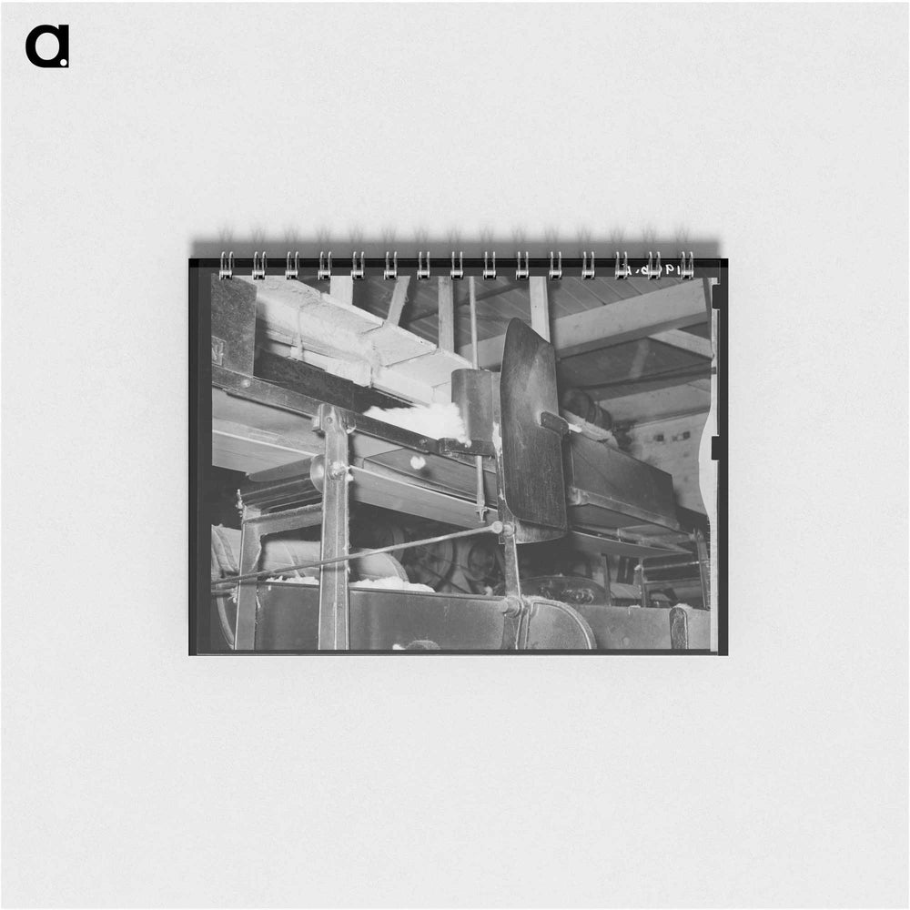Untitled photo - ドロテア ラング Memo.