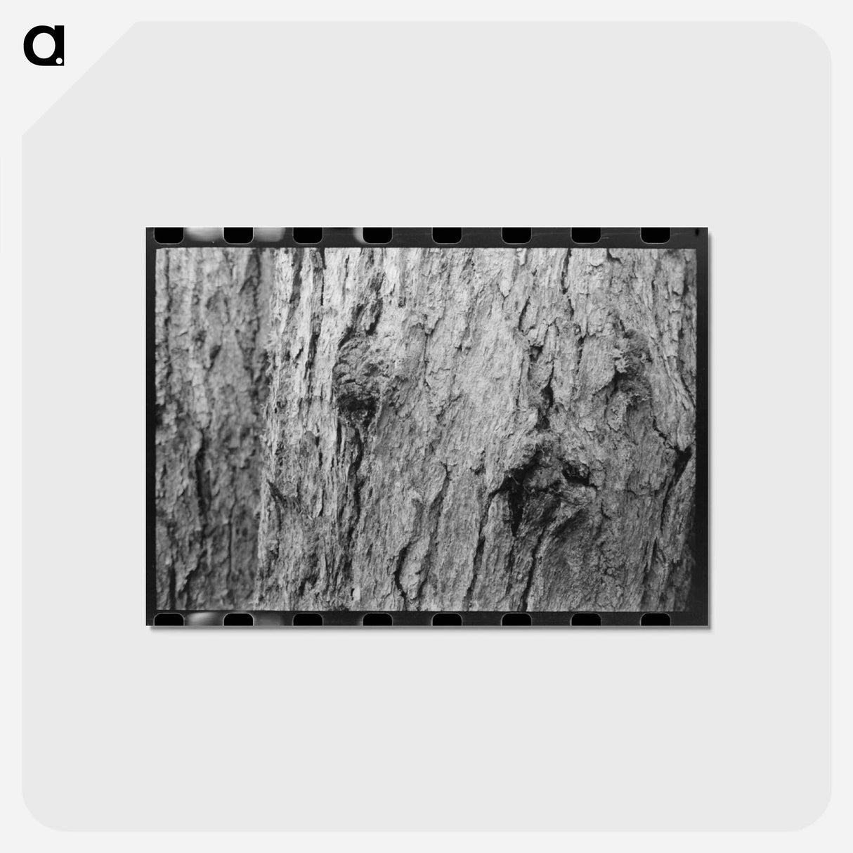 アートポストカード-Long Bell Lumber Trunks
- ラッセル リー Postcard.