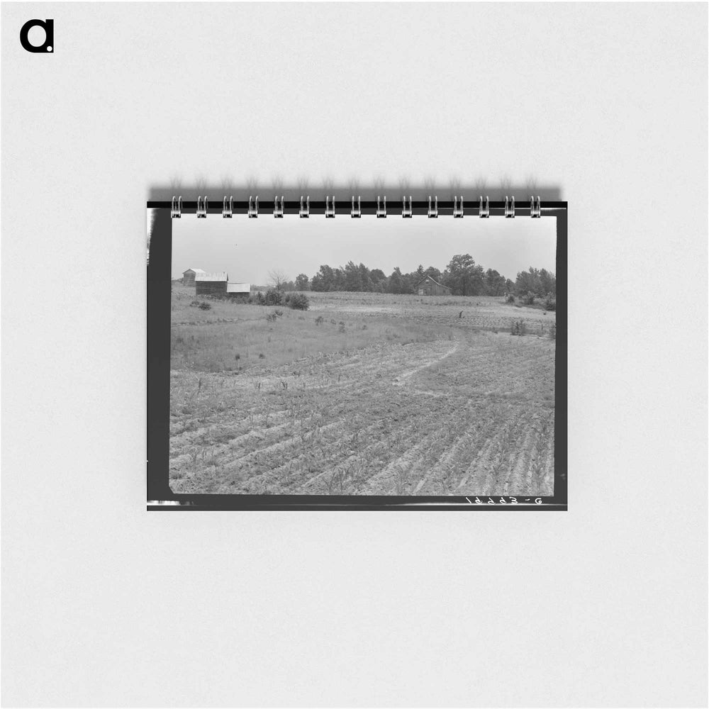 Sharecropper Farm - ドロテア ラング Memo.
