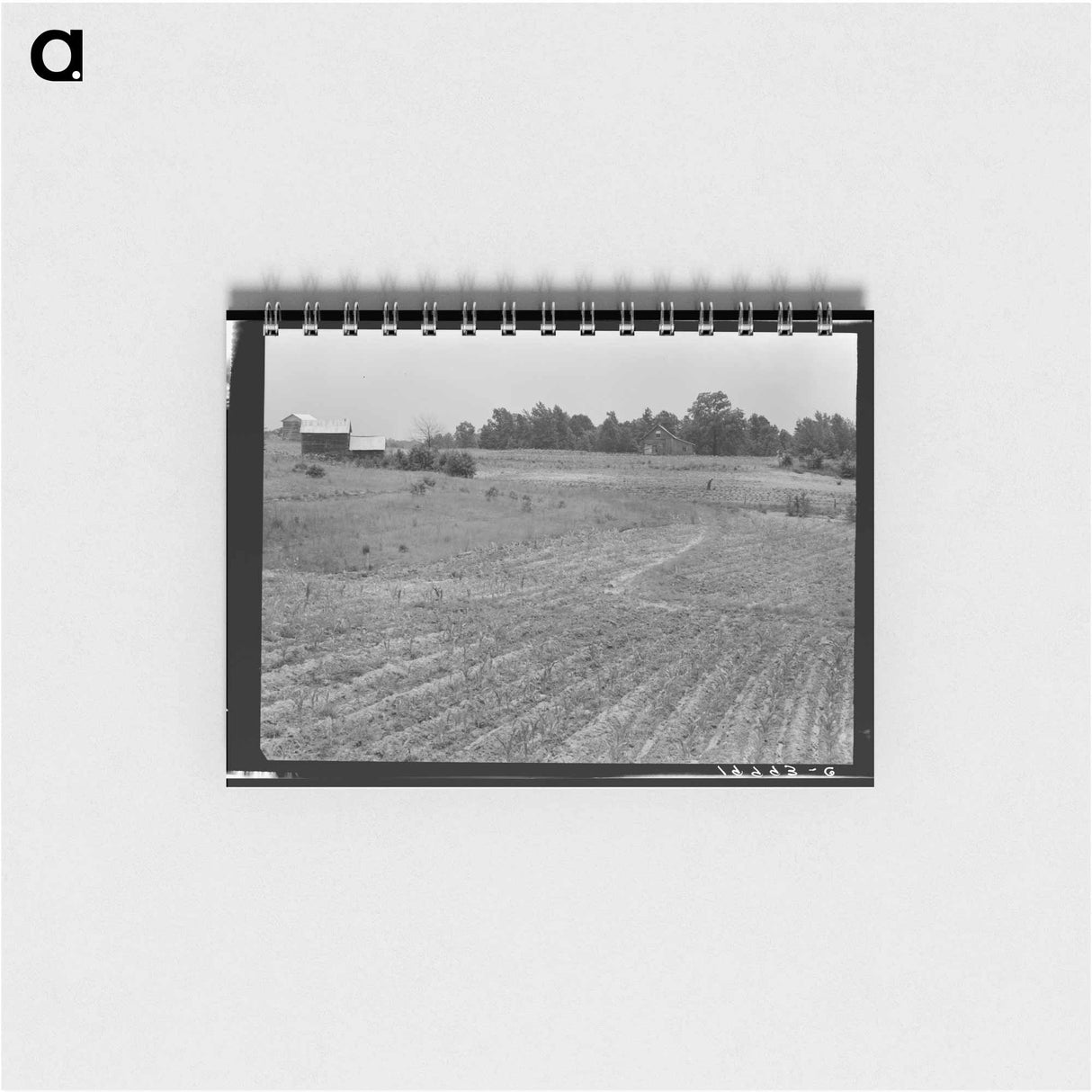 Sharecropper Farm - ドロテア ラング Memo.