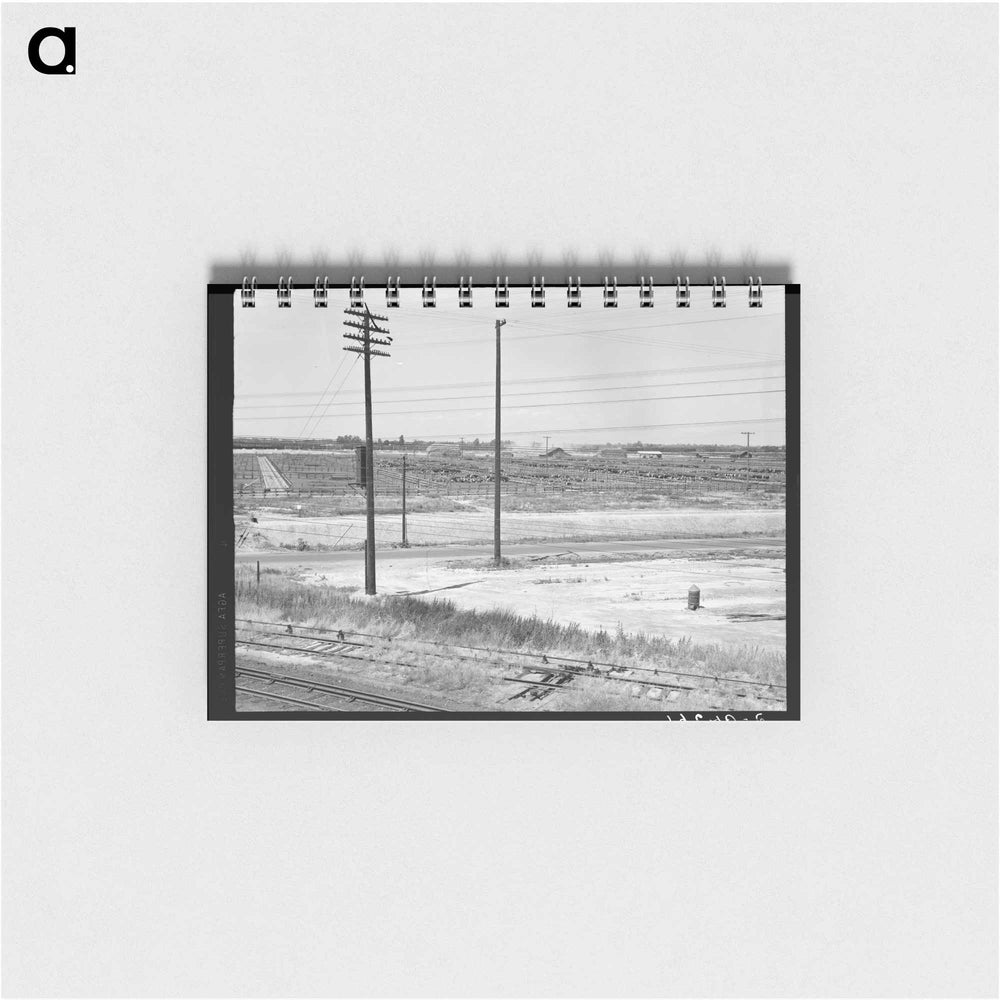 Between Tulare and Fresno - ドロテア ラング Memo.