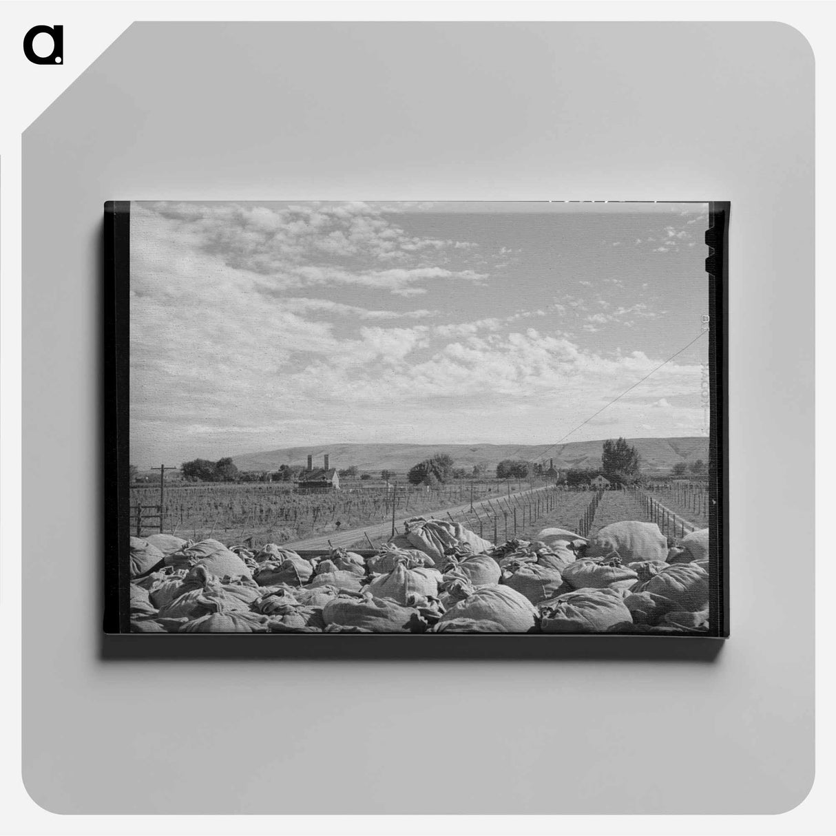 アートパネル-Yakima Hop Fields
- ラッセル リー Canvas.