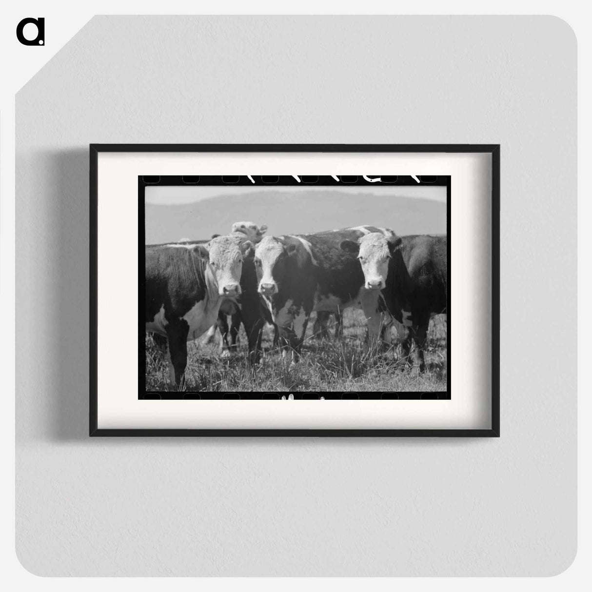 アートポスター-Cattle. Cruzen Ranch, Valley County, Idaho
- ラッセル リー Poster.