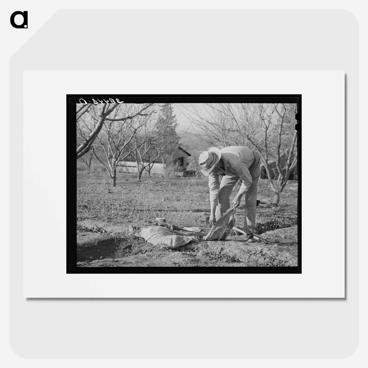 アートポスター-Banking Irrigation Ditches
- ラッセル リー Poster.