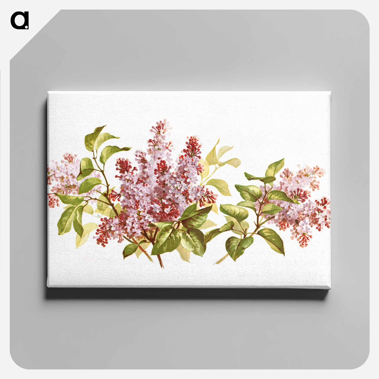 アートパネル-Purple Lilacs Study
- ボストン公共図書館 Canvas.