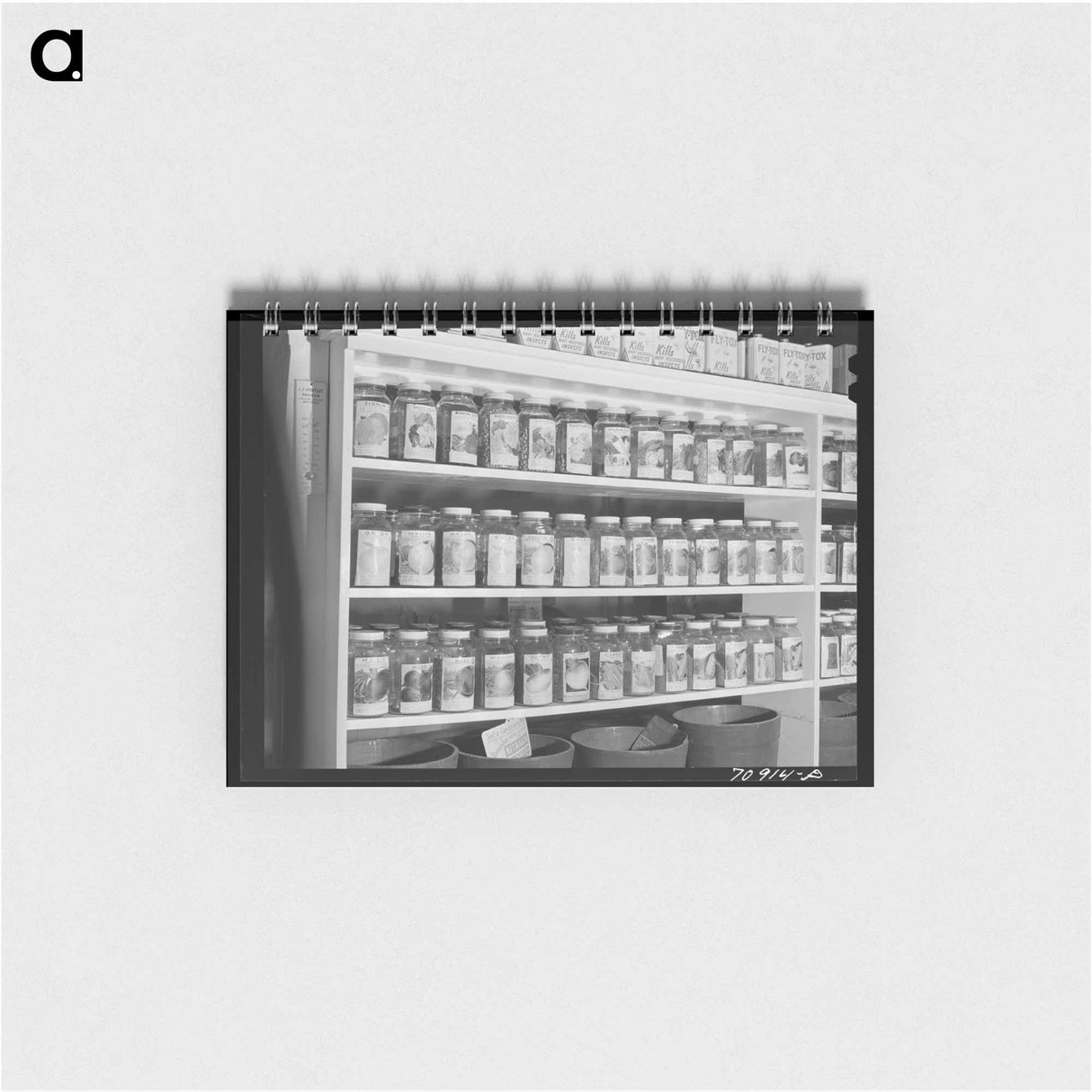 アートメモ帳-Garden Seed for Sale
- ラッセル リー Memo.