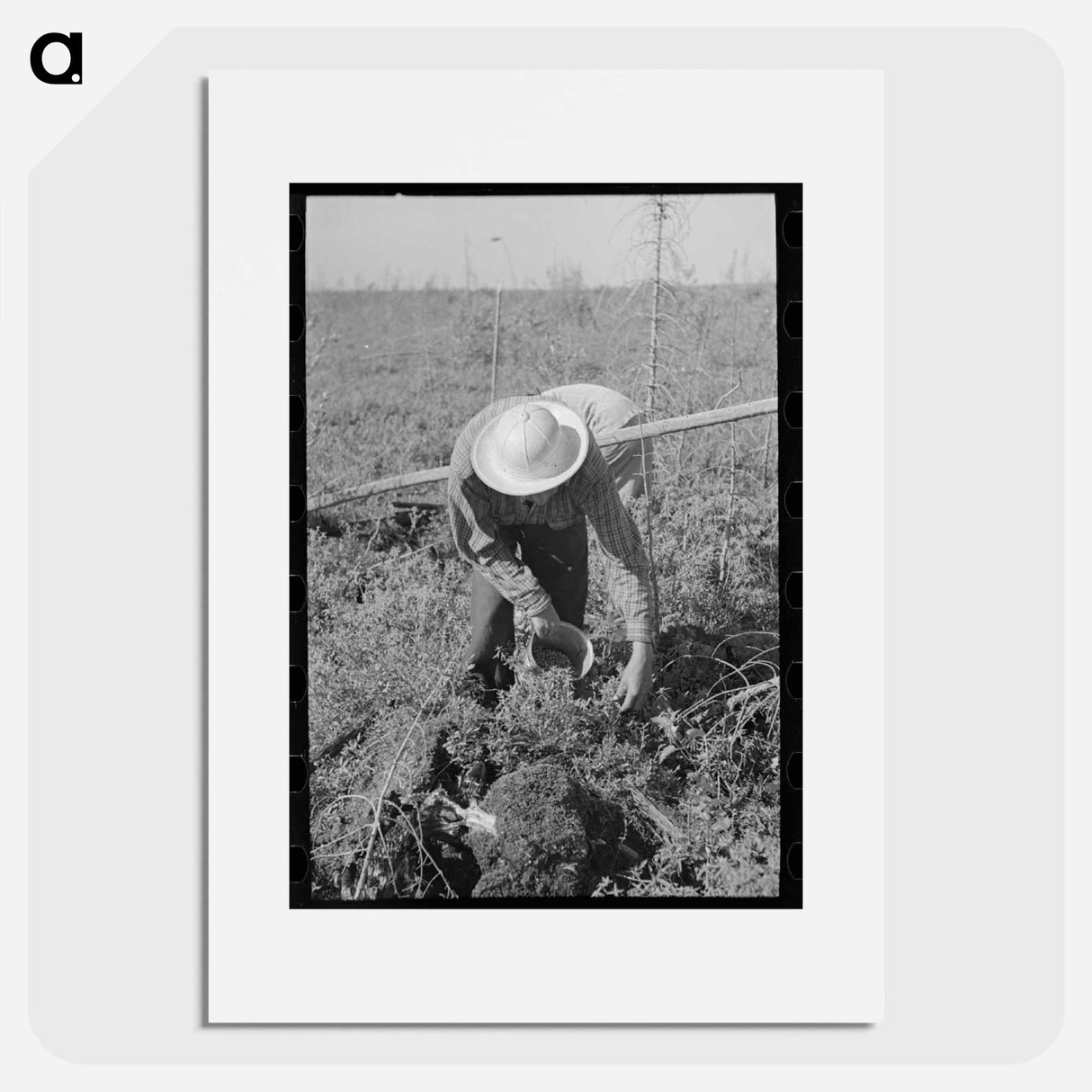 アートポスター-Blueberry Picker
- ラッセル リー Poster.