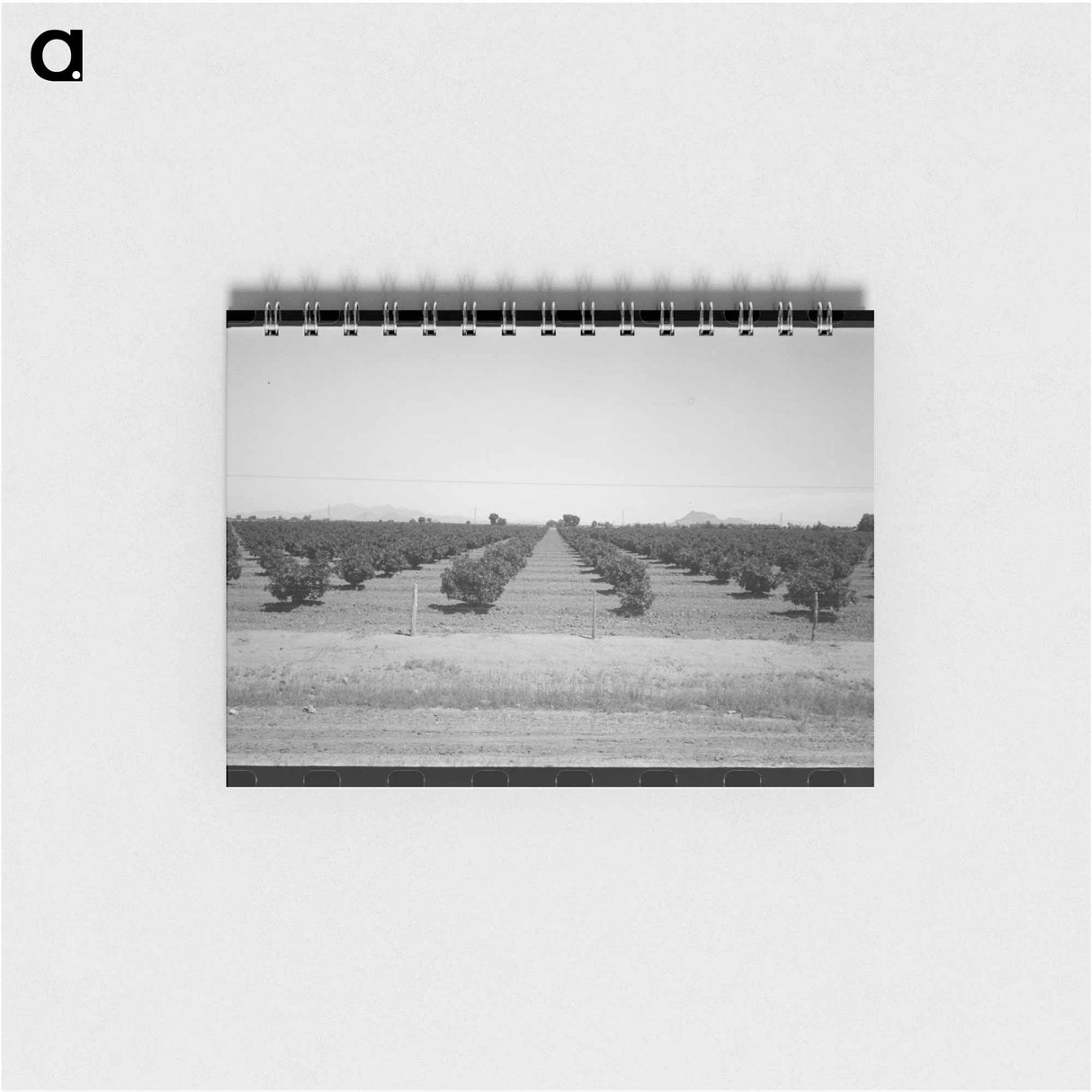 アートメモ帳-Citrus Orchard, Maricopa County
- ラッセル リー Memo.