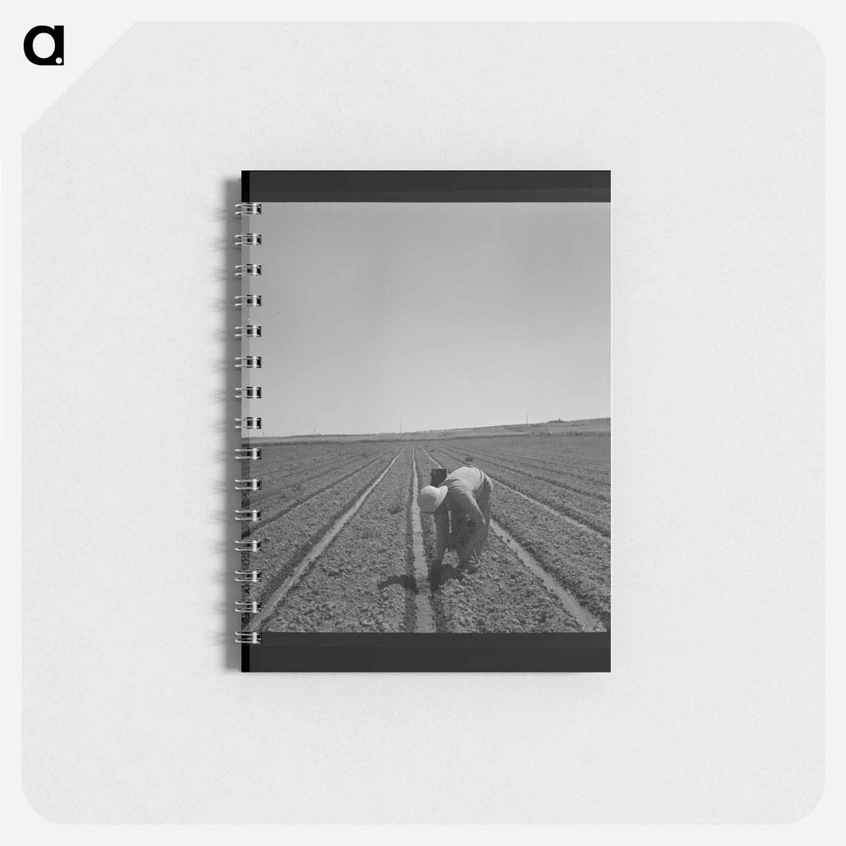 アートメモ帳-Transplanting Celery
- ラッセル リー Memo.