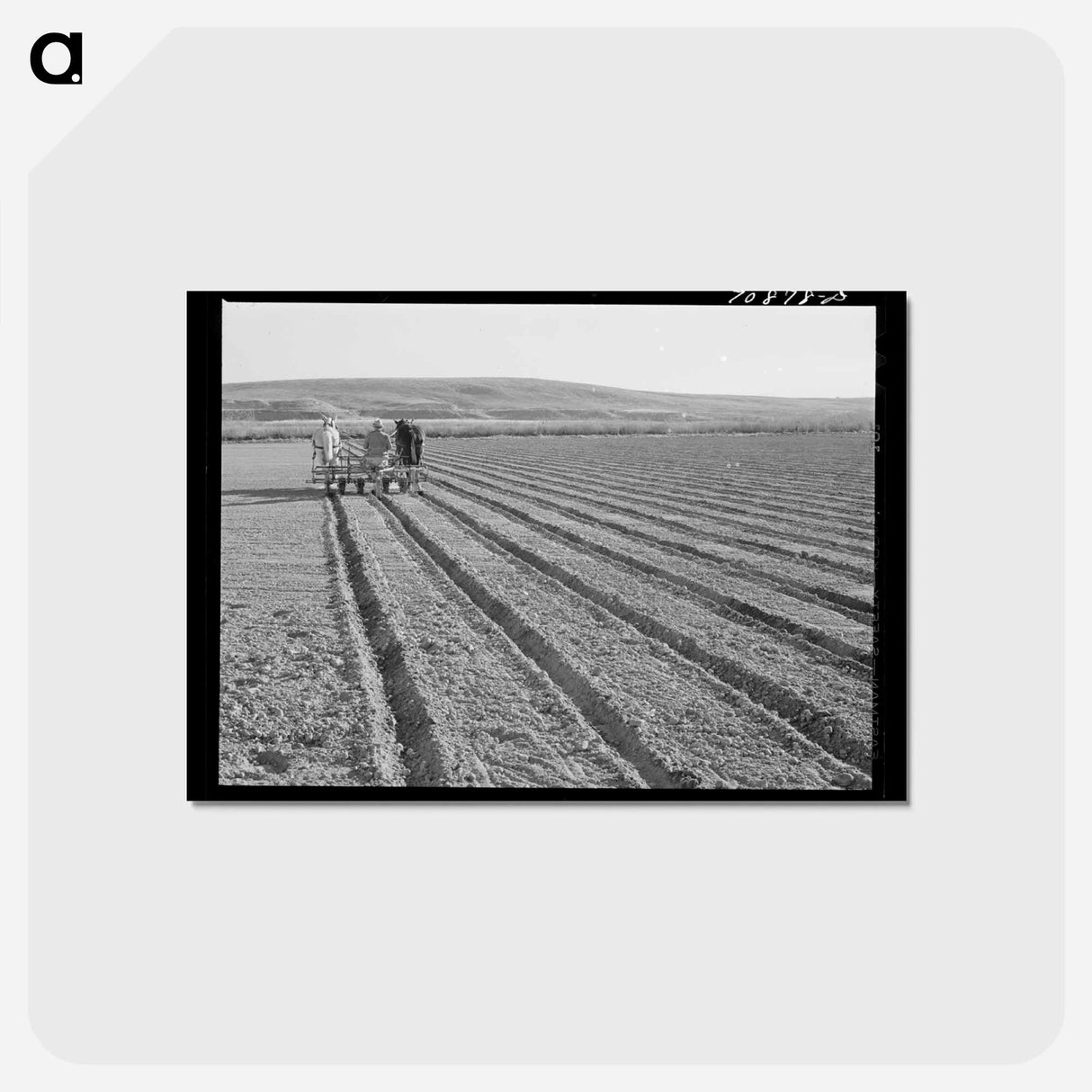 アートポストカード-Discing the Land
- ラッセル リー Postcard.