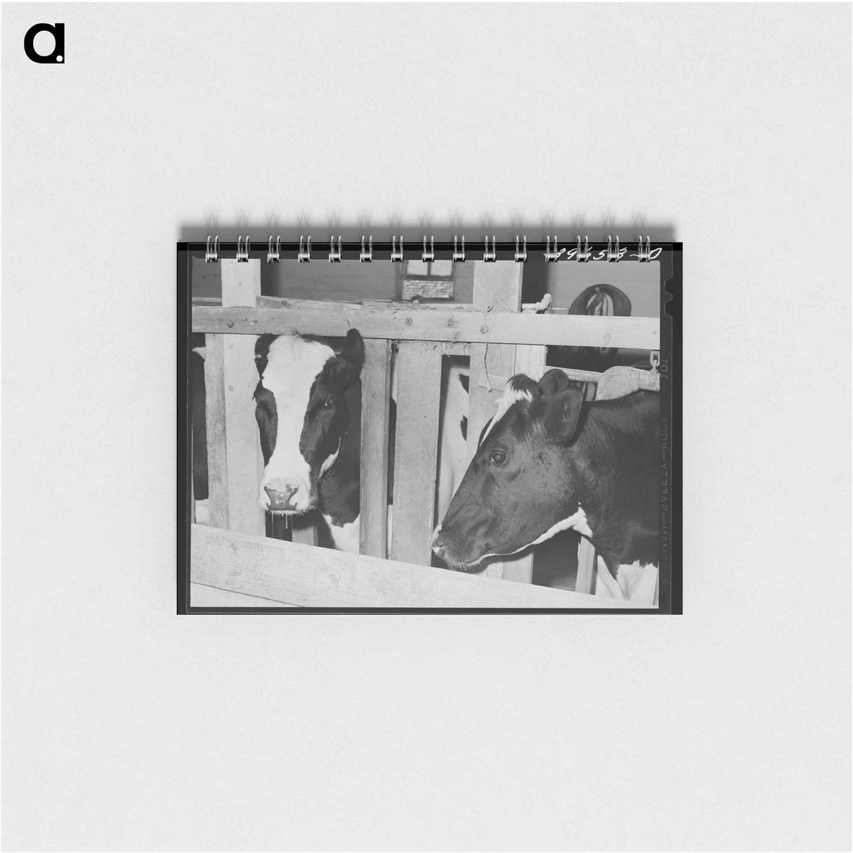 アートメモ帳-Cows of Canyon County
- ラッセル リー Memo.