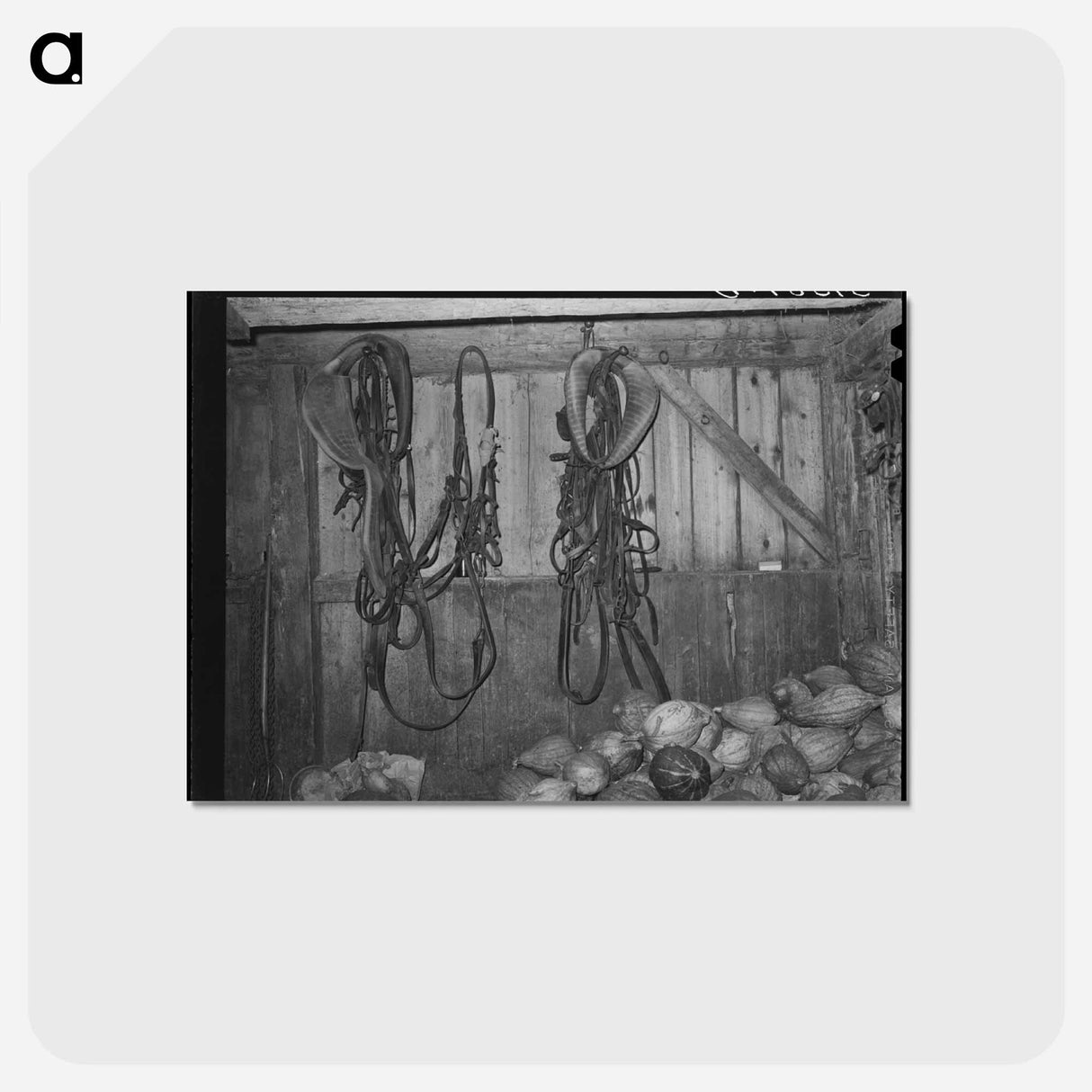 アートポストカード-Barn Interior with Harness and Squashes
- ラッセル リー Postcard.