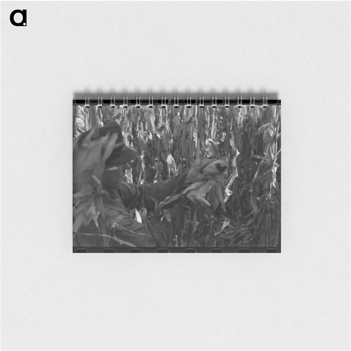 アートメモ帳-Husking Corn
- ラッセル リー Memo.