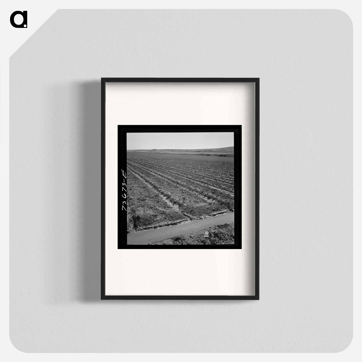 アートポスター-Celery Field and Irrigation Ditch
- ラッセル リー Poster.