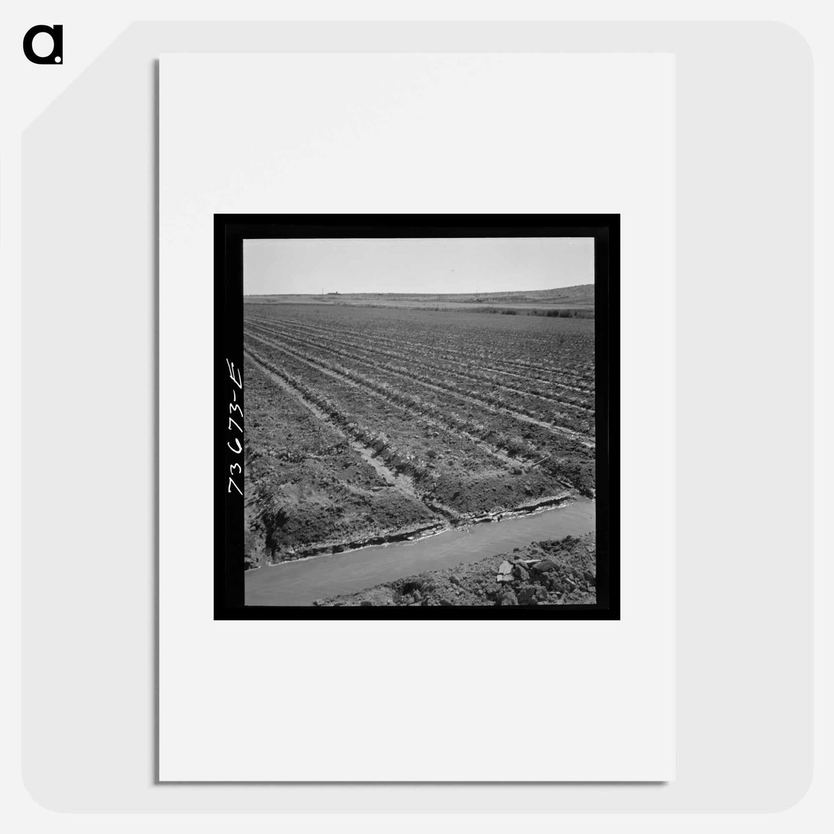 アートポスター-Celery Field and Irrigation Ditch
- ラッセル リー Poster.