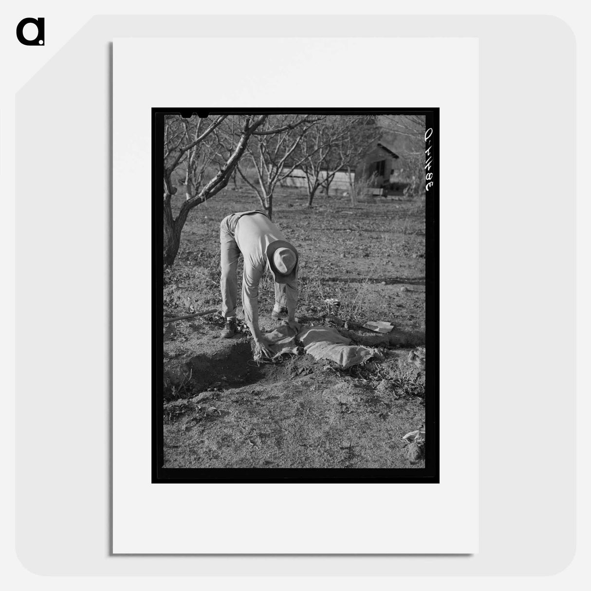 アートポスター-Banking the Irrigation Ditch
- ラッセル リー Poster.