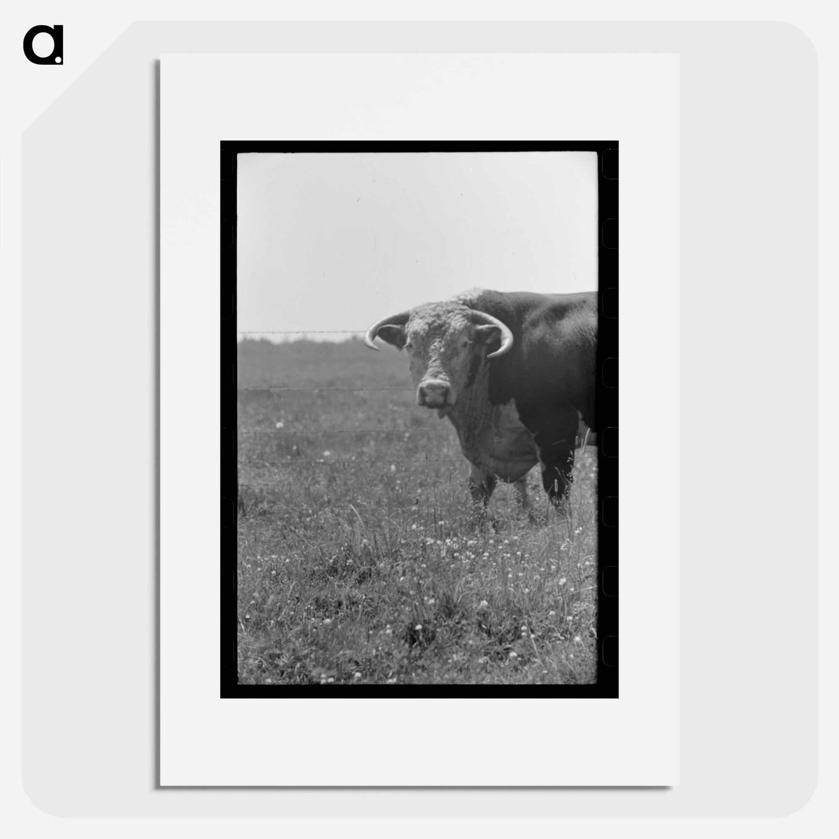 アートポスター-Bull's Head, Cruzen Ranch
- ラッセル リー Poster.