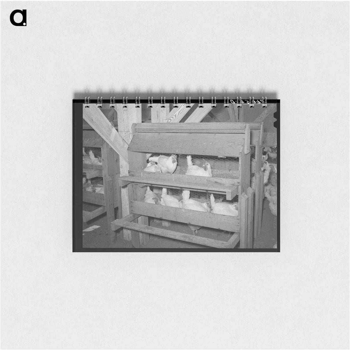 アートメモ帳-Hens on the Nest
- ラッセル リー Memo.